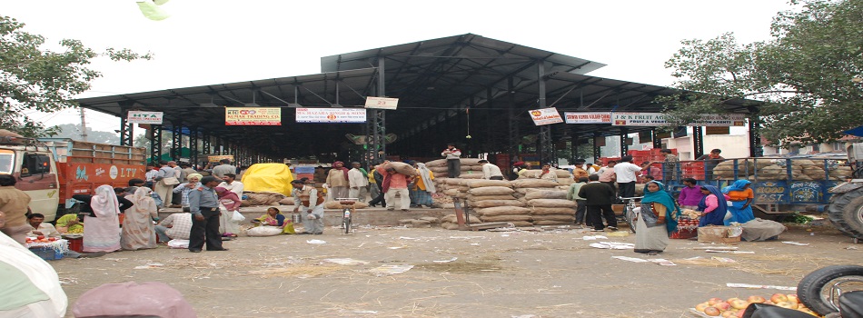 Onion and Potato Shed