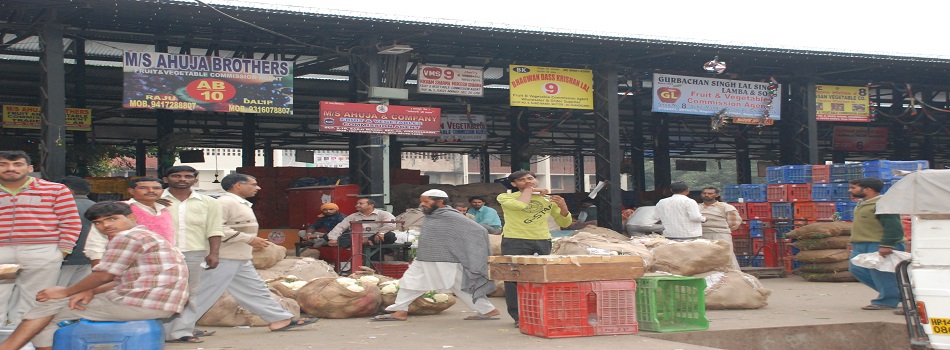 Vegetable Shed Mandi